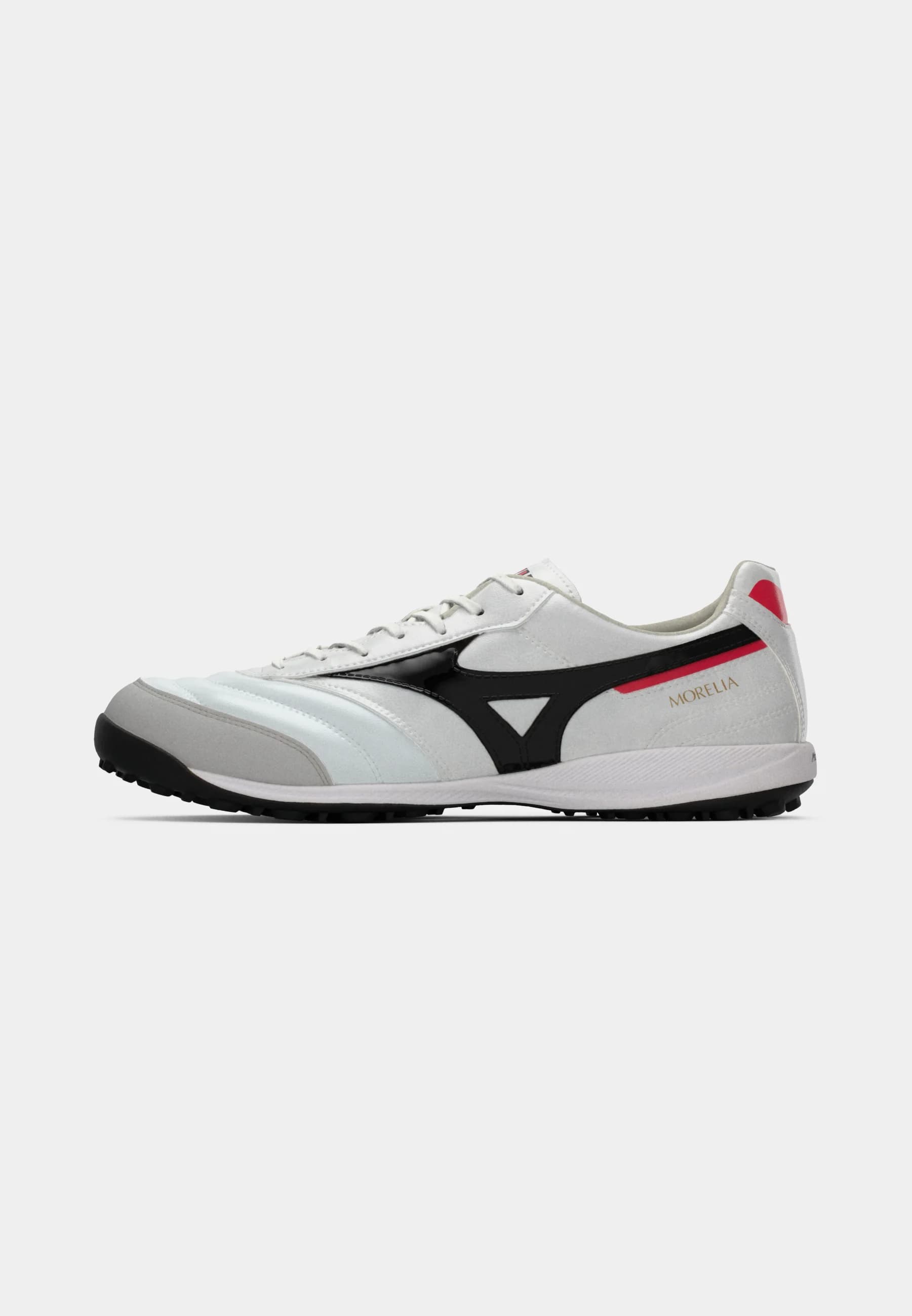 MORELIA SALA PRO TF