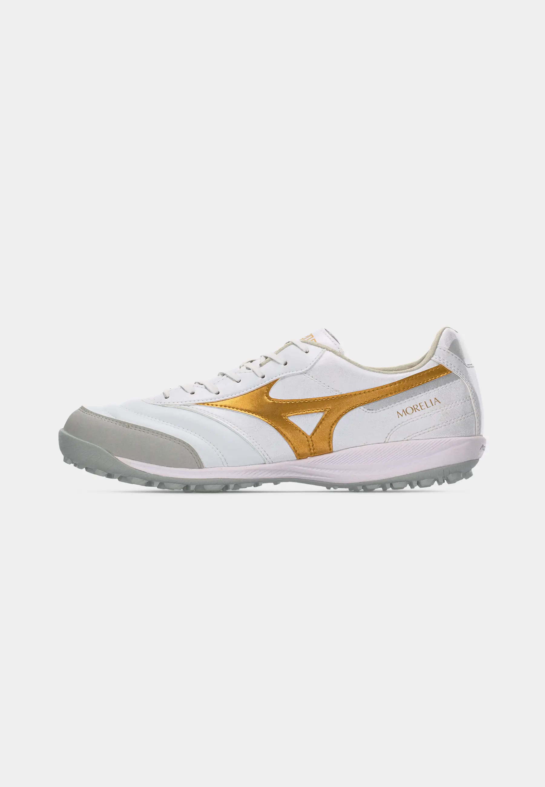 MORELIA SALA PRO TF
