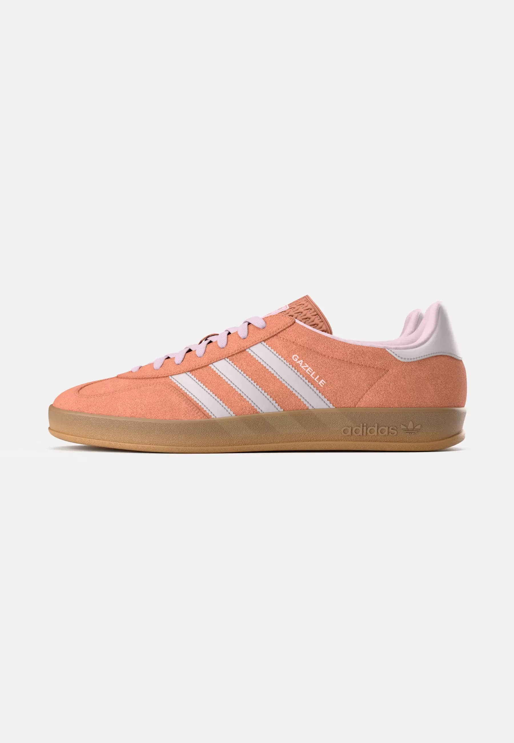 Gazelle Indoor