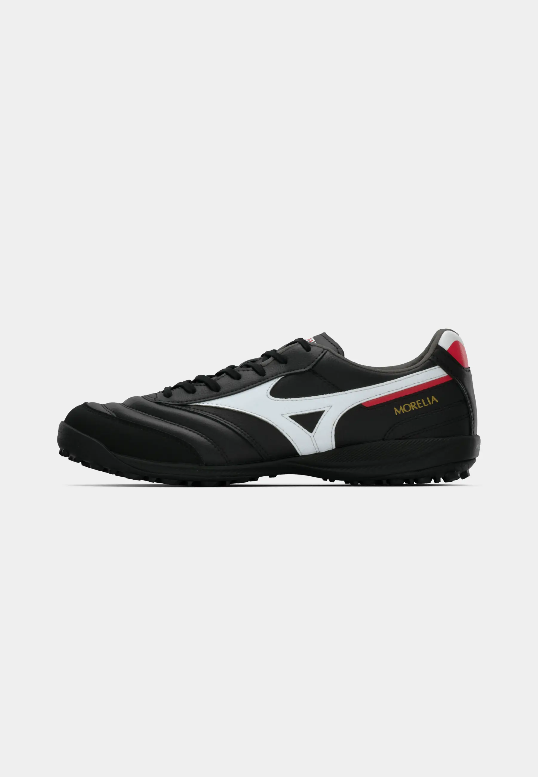 MORELIA SALA PRO TF