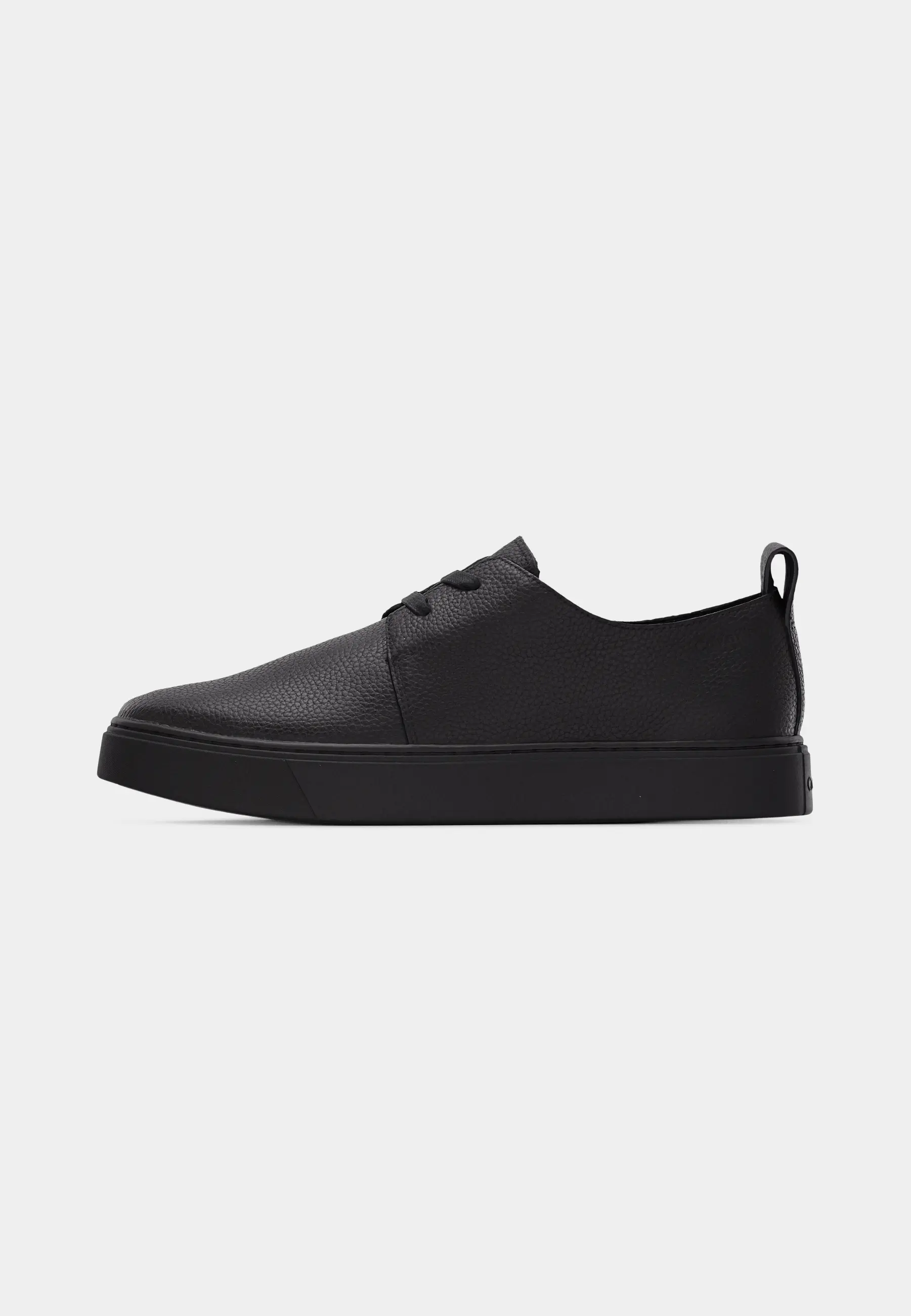 HYBRID CLEAN DERBY TUM LTH