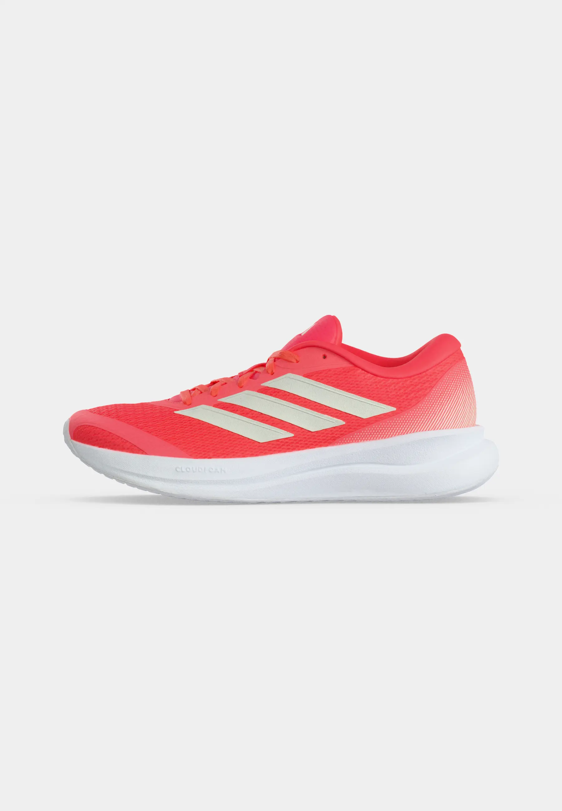 RUNFALCON 6 W