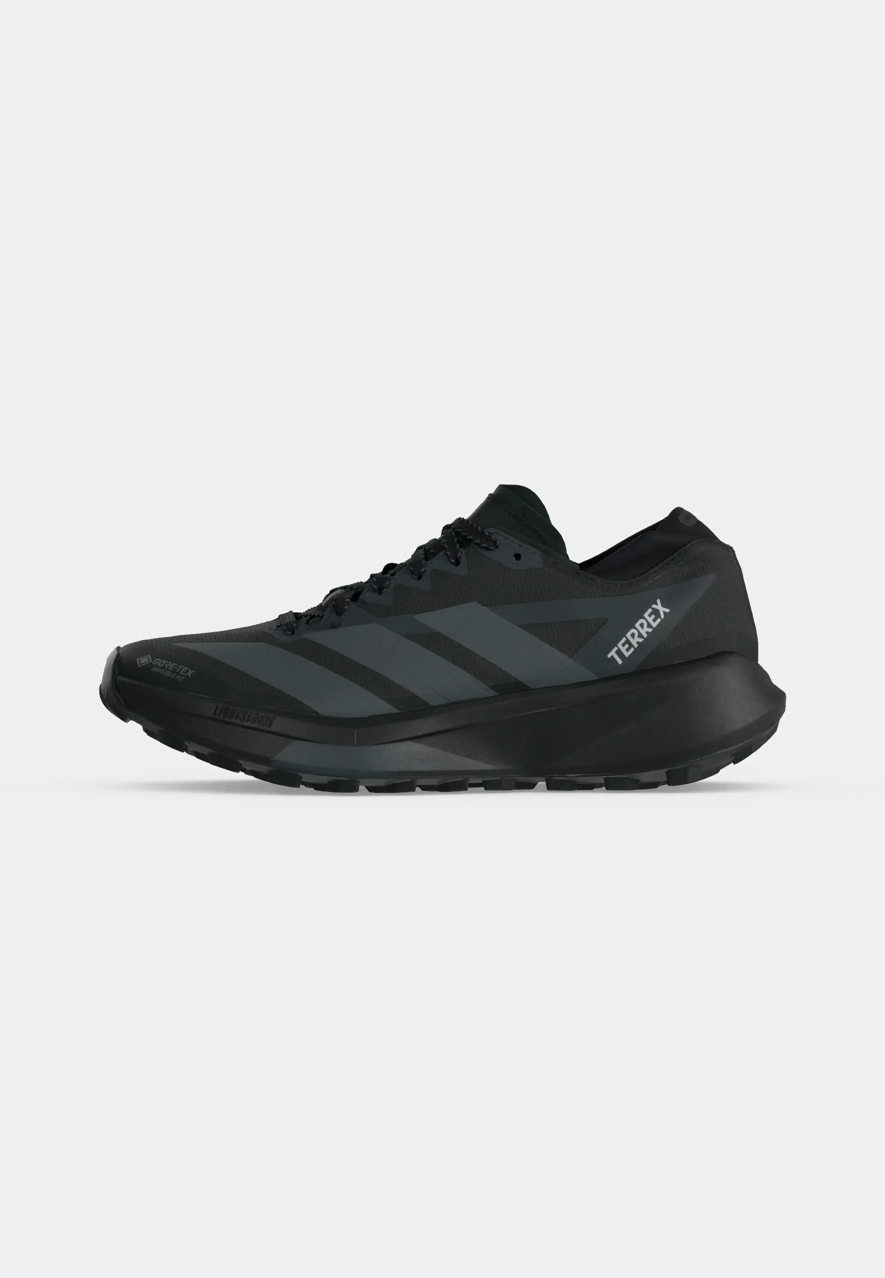Terrex Agravic GTX 2 Trail Running Shoes