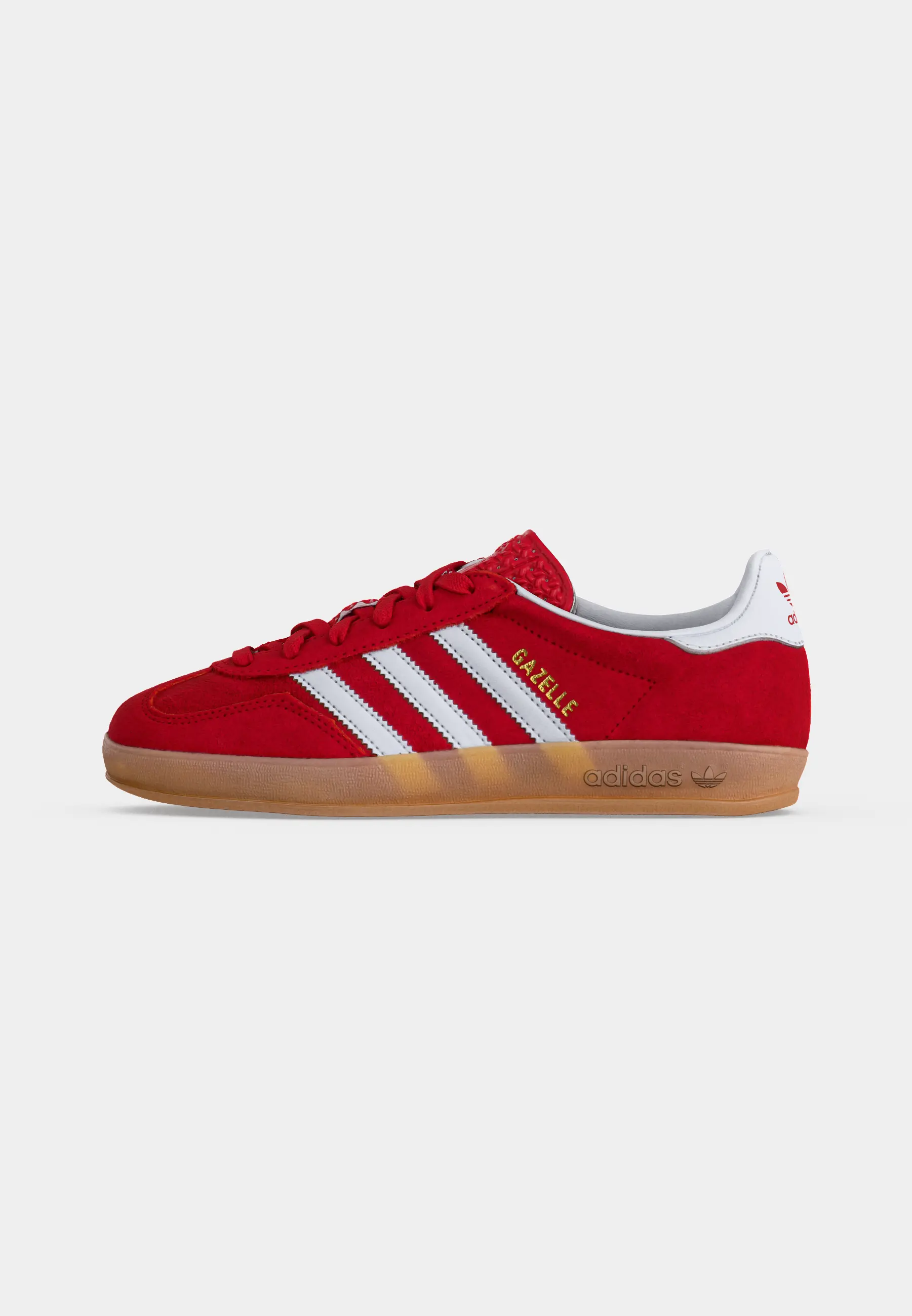 GAZELLE INDOOR