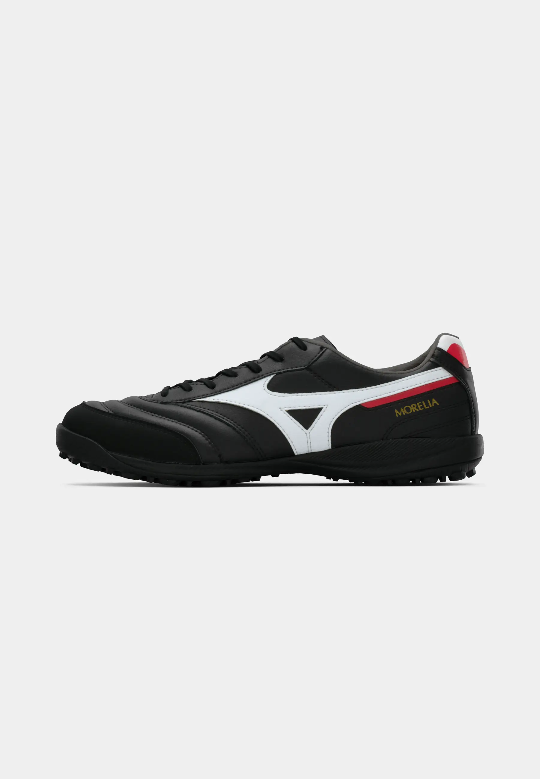MORELIA SALA PRO TF